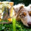 100 % Veggie, Veggie-Snacks mit Kelp-Alge – Bild 4