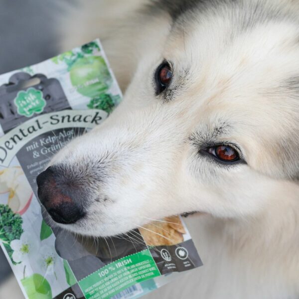 Hund hält eine Packung Dental Snacks im Maul