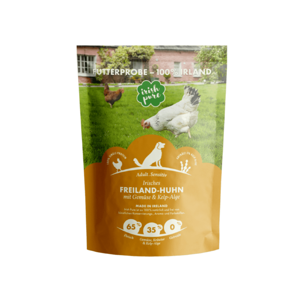 Huhn Adult TF Futterprobe frontal