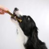 Mensch füttert Hund einen Dental Snack