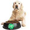 Hund sitzt vor großem, mit TF gefülltem Napf mit Irish Pure Logo