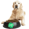 Hund sitzt vor großem, mit TF gefülltem Napf mit Irish Pure Logo