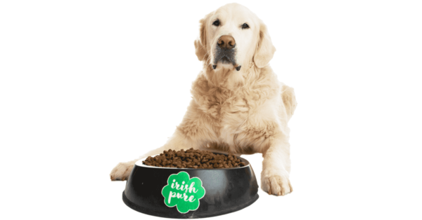 Hund sitzt vor großem, mit TF gefülltem Napf mit Irish Pure Logo