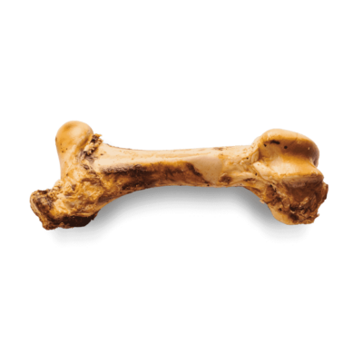 Frontales Bild eines Giant Beef Bones
