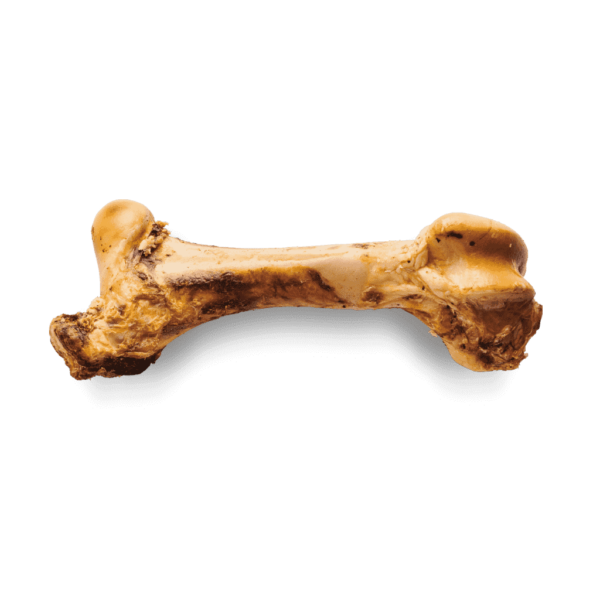 Frontales Bild eines Giant Beef Bones