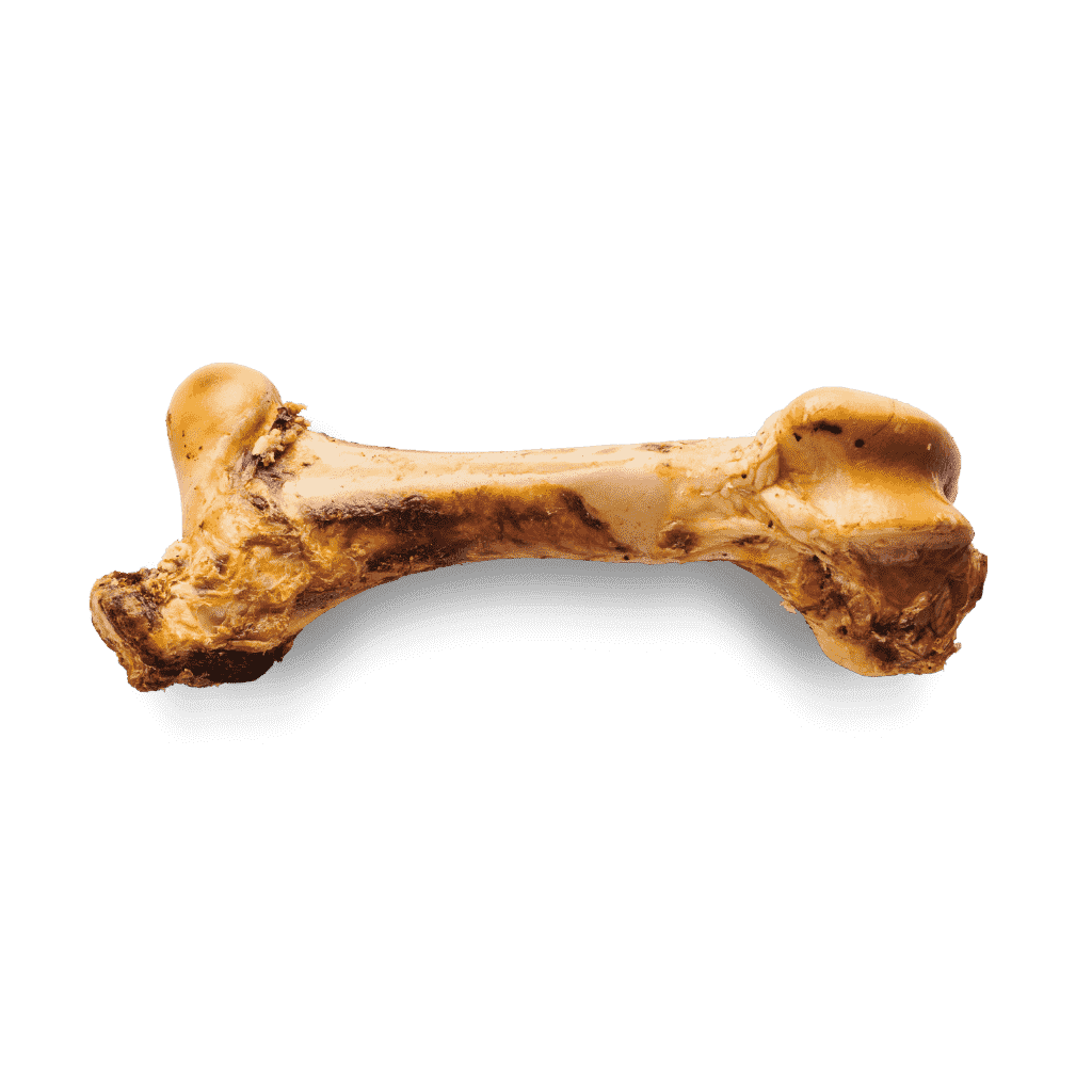 Frontales Bild eines Giant Beef Bones