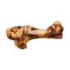 Frontales Bild eines Large Postmans Leg