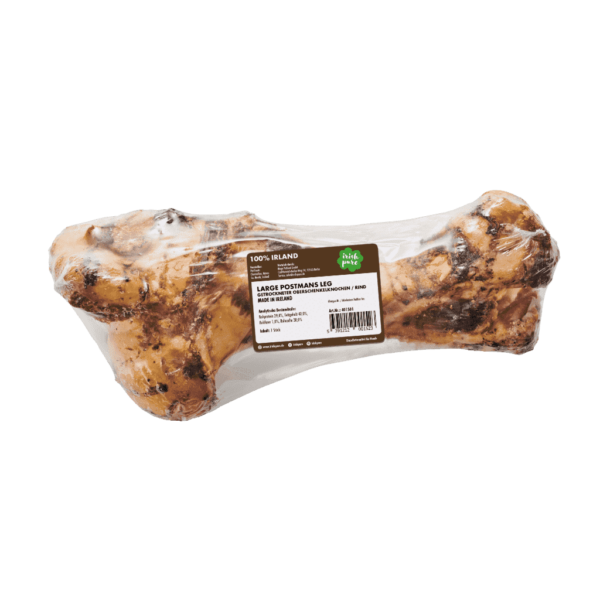 Large Postmans Leg - getrockneter Oberschenkelknochen / Rind – Bild 2