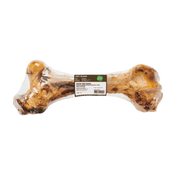 Giant Beef Bone - riesiger Oberschenkelknochen / Rind – Bild 2