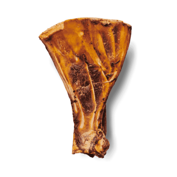 Frontales Bild des Roasted Paddle Bone