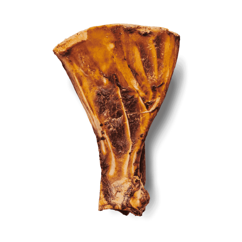 Frontales Bild des Roasted Paddle Bone
