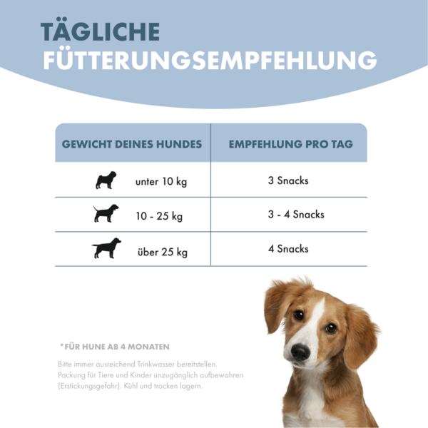 Tages Fütterungsempfehlung für Jump Around. Links beginnt eine Auflistung des Gewichts des Hundes ab < 10 kg bis zu übe 30 Kg. Rechts wird ab einer Menge von drei Snacks bis zu über 4 Snacks am Tag empfohlen. Es wird darauf hingewiesen, dass es sich um ein Nahrungsergänzungsmittel handelt und erst ab einem Alter von 4 Monaten gefüttert werden sollte. Hinweise für die Bereitstellung von genug Trinkwasser, die Unzugänglichkeit von Kindern und Tieren und für die kühle und trockene Lagerung sind gegeben.