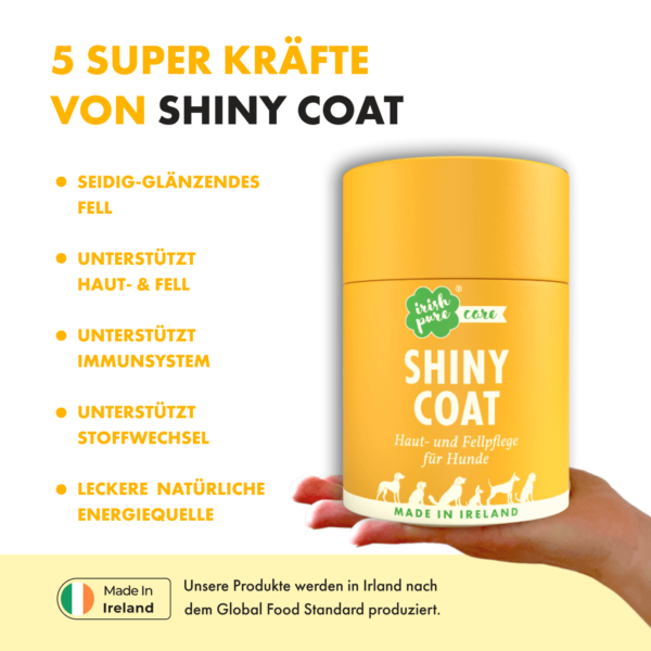 Auf der rechten Seite hält eine Hand eine Dose Shiny Coat von Irish Pure. Links befinden sich Stichpunkte zu 5 Superkräften von Shiny Coat. Es sogt für seidigen Fellglanz, unterstützt Haut- und Fellgesundheit, unterstützt Immunsystem und Stoffwechsel und ist leckere & natürliche Energiequelle. Unten befindet sich ein "Made in Irland" Logo und den Hinweis, dass alle Irish Pure Produkte in Irland nach dem Global Food Standard produziert werden.