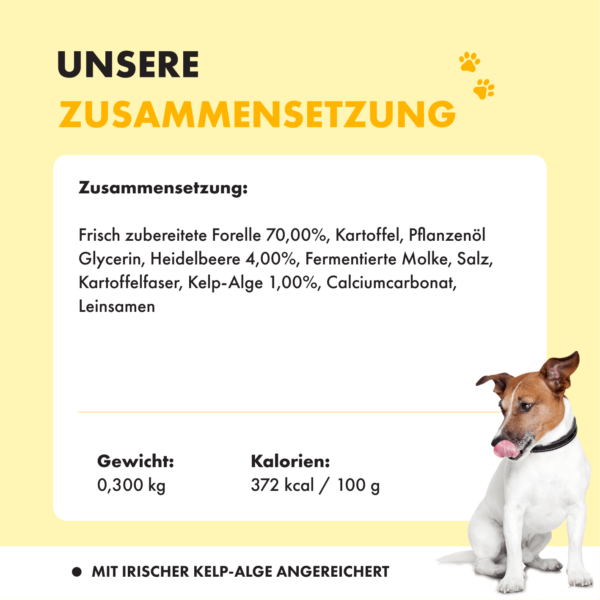 Auflistung über die Zusammensetzung von Shiny Coat und Angaben zu Gewicht und Kalorien des Inhalts.