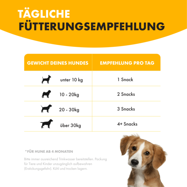 Tages Fütterungsempfehlung für Shiny Coat. Links beginnt eine Auflistung des Gewichts des Hundes ab unter 10 kg bis zu übe 30 Kg. Rechts wird ab einer Menge von einem Snack bis zu über 4 Snacks am Tag empfohlen. Es wird darauf hingewiesen, dass es sich um ein Nahrungsergänzungsmittel handelt und erst ab einem Alter von 4 Monaten gefüttert werden sollte. Hinweise für die Bereitstellung von genug Trinkwasser, die Unzugänglichkeit von Kindern und Tieren und für die kühle und trockene Lagerung sind gegeben.
