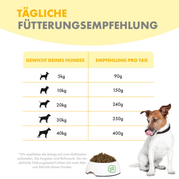 Fütterungsempfehlung für das TF Irish Pure. Es ist eine Tabelle mit zwei Spalten - links das Gewicht des Hundes und rechts die empfohlene Trockenfuttermenge pro Tag. Die liste beginnt mit Hunden ab 5 Kg und geht bis 40 Kg und empfohlen wird ab 90 g bis 400 g Futter pro Tag. Man sieht einen Hund, der neben einem vollen Irish Pure TF Napf steht und sich das Maul leckt.