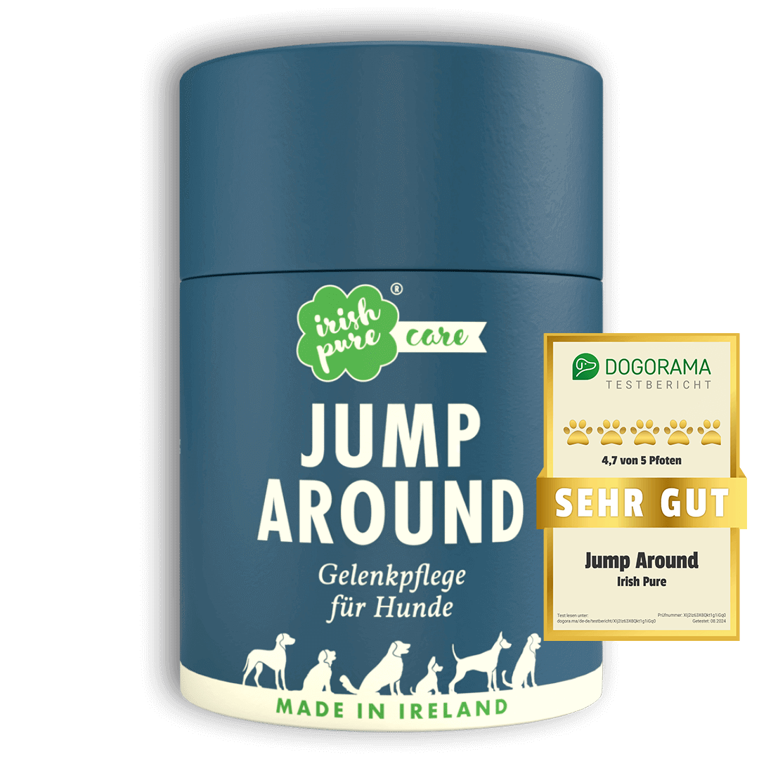 Jump Around von Irish Pure wurde von "DOGORAMA" mit 4,7 von 5 Pfoten als "sehr gut" bewertet.