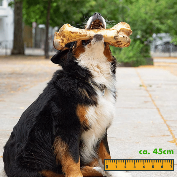 12kg Irisches Weiderind & Freiland-Huhn mit Gemüse & Kelp-Alge – Bild 9