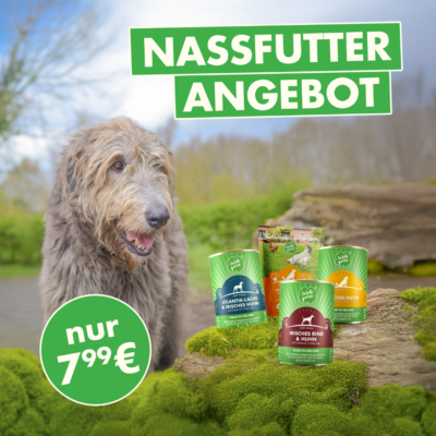 Nassfutterangebot von Irish Pure für 7,99 €. Hund steht in der Natur und ist ein Angebot von drei Nassfutterdosen (Huhn, Rind und Lachs) und einer Trokenfutterprobe (Huhn Adult) zu sehen.
