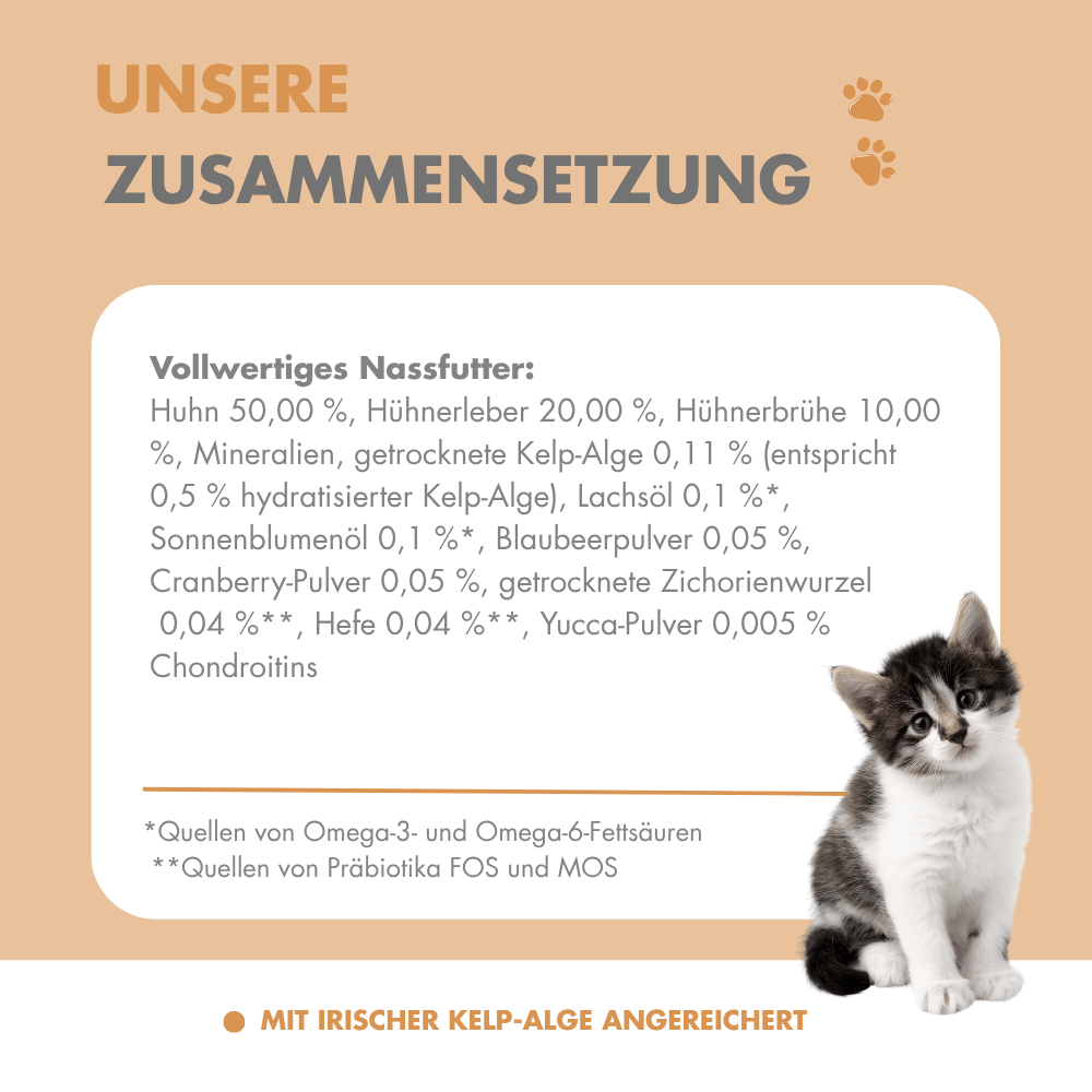 Irische Huhn Paté Kitten – Bild 3