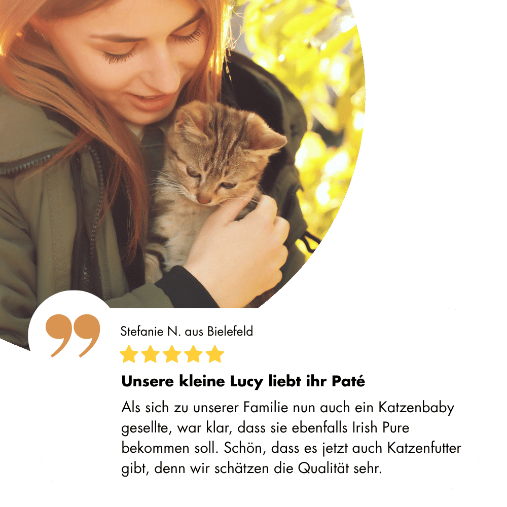 Irische Huhn Paté Kitten – Bild 7