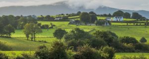 Eine Landschaft in Irland mit Häusern, Bäumen, grüner Weise.